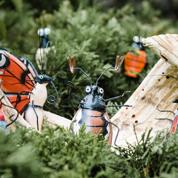 Der Lindwurm 06 insekten